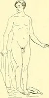Picture 198 of 481 from Modern surgery, general and operative / by John Chalmers Da Costa. (1907), leaf 620