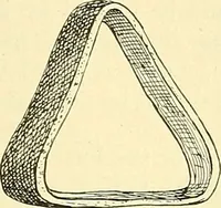 Picture 204 of 481 from Modern surgery, general and operative / by John Chalmers Da Costa. (1907), leaf 633
