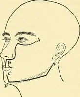 An illustration from Modern surgery, general and operative / by John Chalmers Da Costa. (1907)