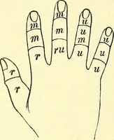 Picture 234 of 481 from Modern surgery, general and operative / by John Chalmers Da Costa. (1907), leaf 688