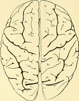 Picture 244 of 481 from Modern surgery, general and operative / by John Chalmers Da Costa. (1907), leaf 705
