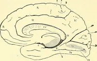 An illustration from Modern surgery, general and operative / by John Chalmers Da Costa. (1907)