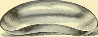 An illustration from Modern surgery, general and operative / by John Chalmers Da Costa. (1907)