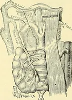 Picture 268 of 481 from Modern surgery, general and operative / by John Chalmers Da Costa. (1907), leaf 787