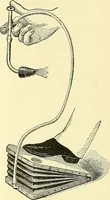 Picture 270 of 481 from Modern surgery, general and operative / by John Chalmers Da Costa. (1907), leaf 795