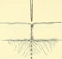 Picture 328 of 481 from Modern surgery, general and operative / by John Chalmers Da Costa. (1907), leaf 976