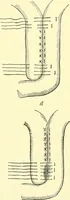Picture 342 of 481 from Modern surgery, general and operative / by John Chalmers Da Costa. (1907), leaf 982