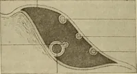 An illustration from The diagnostics of internal medicine : a clinical treatise upon the recognised principles of medical diagnosis, prepared for the use of students and practitioners of medicine / by Glentworth Reeve Butler ... ; with five coloured plates and two hundred and seventy-two illustrations and charts in the text. (1909)