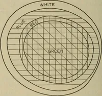 An illustration from The diagnostics of internal medicine : a clinical treatise upon the recognised principles of medical diagnosis, prepared for the use of students and practitioners of medicine / by Glentworth Reeve Butler ... ; with five coloured plates and two hundred and seventy-two illustrations and charts in the text. (1909)