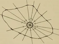 An illustration from The diagnostics of internal medicine : a clinical treatise upon the recognised principles of medical diagnosis, prepared for the use of students and practitioners of medicine / by Glentworth Reeve Butler ... ; with five coloured plates and two hundred and seventy-two illustrations and charts in the text. (1909)