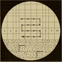 An illustration from The diagnostics of internal medicine : a clinical treatise upon the recognised principles of medical diagnosis, prepared for the use of students and practitioners of medicine / by Glentworth Reeve Butler ... ; with five coloured plates and two hundred and seventy-two illustrations and charts in the text. (1909)