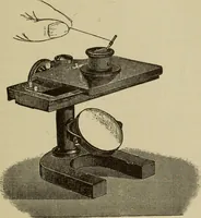 An illustration from The diagnostics of internal medicine : a clinical treatise upon the recognised principles of medical diagnosis, prepared for the use of students and practitioners of medicine / by Glentworth Reeve Butler ... ; with five coloured plates and two hundred and seventy-two illustrations and charts in the text. (1909)