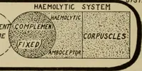 An illustration from The diagnostics of internal medicine : a clinical treatise upon the recognised principles of medical diagnosis, prepared for the use of students and practitioners of medicine / by Glentworth Reeve Butler ... ; with five coloured plates and two hundred and seventy-two illustrations and charts in the text. (1909)