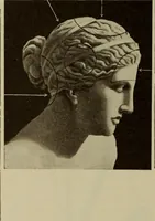 An illustration from The diagnostics of internal medicine : a clinical treatise upon the recognised principles of medical diagnosis, prepared for the use of students and practitioners of medicine / by Glentworth Reeve Butler ... ; with five coloured plates and two hundred and seventy-two illustrations and charts in the text. (1909)