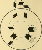 An illustration from A text-book of pathology for students of medicine / by J. George Adami and John McCrae ; illustrated with 304 engravings and 11 colored plates. (1912)