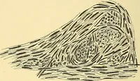 An illustration from A text-book of pathology for students of medicine / by J. George Adami and John McCrae ; illustrated with 304 engravings and 11 colored plates. (1912)