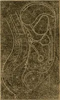 An illustration from The household physician : for the use of families, planters, seamen, and travellers ; being a brief description, in plain language, of all the diseases of men, women, and children, with the newest and most approved methods of curing them / by Ira Warren. (1866)
