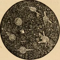 An illustration from The household physician : for the use of families, planters, seamen, and travellers ; being a brief description, in plain language, of all the diseases of men, women, and children, with the newest and most approved methods of curing them / by Ira Warren. (1866)