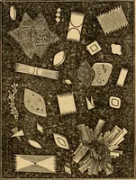 An illustration from The household physician : for the use of families, planters, seamen, and travellers ; being a brief description, in plain language, of all the diseases of men, women, and children, with the newest and most approved methods of curing them / by Ira Warren. (1866)