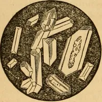 An illustration from The household physician : for the use of families, planters, seamen, and travellers ; being a brief description, in plain language, of all the diseases of men, women, and children, with the newest and most approved methods of curing them / by Ira Warren. (1866)