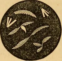 An illustration from The household physician : for the use of families, planters, seamen, and travellers ; being a brief description, in plain language, of all the diseases of men, women, and children, with the newest and most approved methods of curing them / by Ira Warren. (1866)