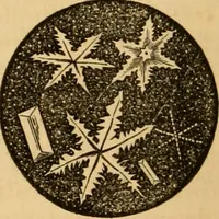 An illustration from The household physician : for the use of families, planters, seamen, and travellers ; being a brief description, in plain language, of all the diseases of men, women, and children, with the newest and most approved methods of curing them / by Ira Warren. (1866)