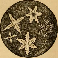 An illustration from The household physician : for the use of families, planters, seamen, and travellers ; being a brief description, in plain language, of all the diseases of men, women, and children, with the newest and most approved methods of curing them / by Ira Warren. (1866)