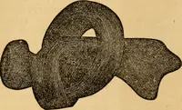 An illustration from The household physician : for the use of families, planters, seamen, and travellers ; being a brief description, in plain language, of all the diseases of men, women, and children, with the newest and most approved methods of curing them / by Ira Warren. (1866)