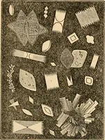 An illustration from The household physician : for the use of families, planters, seamen, and travellers ; being a brief description, in plain language, of all the diseases of men, women, and children, with the newest and most approved methods of curing them / by Ira Warren. (1866)