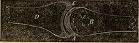 An illustration from The household physician : for the use of families, planters, seamen, and travellers ; being a brief description, in plain language, of all the diseases of men, women, and children, with the newest and most approved methods of curing them / by Ira Warren. (1866)