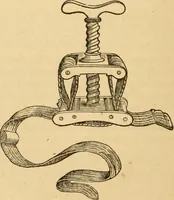 An illustration from The household physician : for the use of families, planters, seamen, and travellers ; being a brief description, in plain language, of all the diseases of men, women, and children, with the newest and most approved methods of curing them / by Ira Warren. (1866)