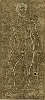 An illustration from The household physician : for the use of families, planters, seamen, and travellers ; being a brief description, in plain language, of all the diseases of men, women, and children, with the newest and most approved methods of curing them / by Ira Warren. (1866)