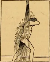 An illustration from The household physician : for the use of families, planters, seamen, and travellers ; being a brief description, in plain language, of all the diseases of men, women, and children, with the newest and most approved methods of curing them / by Ira Warren. (1866)