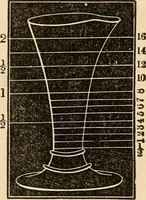 An illustration from The household physician : for the use of families, planters, seamen, and travellers ; being a brief description, in plain language, of all the diseases of men, women, and children, with the newest and most approved methods of curing them / by Ira Warren. (1866)