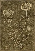 An illustration from The household physician : for the use of families, planters, seamen, and travellers ; being a brief description, in plain language, of all the diseases of men, women, and children, with the newest and most approved methods of curing them / by Ira Warren. (1866)