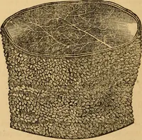 An illustration from The household physician : for the use of families, planters, seamen, and travellers ; being a brief description, in plain language, of all the diseases of men, women, and children, with the newest and most approved methods of curing them / by Ira Warren. (1866)