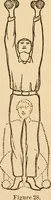An illustration from The household physician : for the use of families, planters, seamen, and travellers ; being a brief description, in plain language, of all the diseases of men, women, and children, with the newest and most approved methods of curing them / by Ira Warren. (1866)
