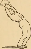An illustration from The household physician : for the use of families, planters, seamen, and travellers ; being a brief description, in plain language, of all the diseases of men, women, and children, with the newest and most approved methods of curing them / by Ira Warren. (1866)