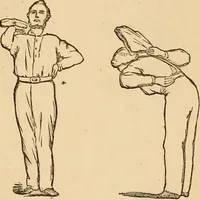 An illustration from The household physician : for the use of families, planters, seamen, and travellers ; being a brief description, in plain language, of all the diseases of men, women, and children, with the newest and most approved methods of curing them / by Ira Warren. (1866)