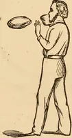 An illustration from The household physician : for the use of families, planters, seamen, and travellers ; being a brief description, in plain language, of all the diseases of men, women, and children, with the newest and most approved methods of curing them / by Ira Warren. (1866)