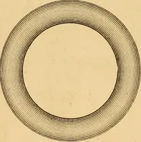 An illustration from The household physician : for the use of families, planters, seamen, and travellers ; being a brief description, in plain language, of all the diseases of men, women, and children, with the newest and most approved methods of curing them / by Ira Warren. (1866)