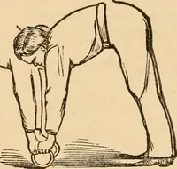 An illustration from The household physician : for the use of families, planters, seamen, and travellers ; being a brief description, in plain language, of all the diseases of men, women, and children, with the newest and most approved methods of curing them / by Ira Warren. (1866)