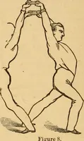 An illustration from The household physician : for the use of families, planters, seamen, and travellers ; being a brief description, in plain language, of all the diseases of men, women, and children, with the newest and most approved methods of curing them / by Ira Warren. (1866)