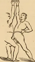 An illustration from The household physician : for the use of families, planters, seamen, and travellers ; being a brief description, in plain language, of all the diseases of men, women, and children, with the newest and most approved methods of curing them / by Ira Warren. (1866)