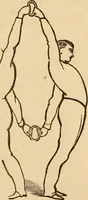 An illustration from The household physician : for the use of families, planters, seamen, and travellers ; being a brief description, in plain language, of all the diseases of men, women, and children, with the newest and most approved methods of curing them / by Ira Warren. (1866)