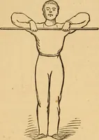 An illustration from The household physician : for the use of families, planters, seamen, and travellers ; being a brief description, in plain language, of all the diseases of men, women, and children, with the newest and most approved methods of curing them / by Ira Warren. (1866)