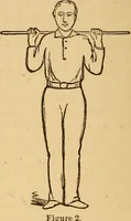 An illustration from The household physician : for the use of families, planters, seamen, and travellers ; being a brief description, in plain language, of all the diseases of men, women, and children, with the newest and most approved methods of curing them / by Ira Warren. (1866)