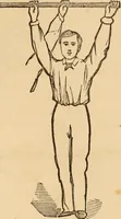 An illustration from The household physician : for the use of families, planters, seamen, and travellers ; being a brief description, in plain language, of all the diseases of men, women, and children, with the newest and most approved methods of curing them / by Ira Warren. (1866)