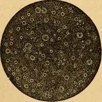 An illustration from The household physician : for the use of families, planters, seamen, and travellers ; being a brief description, in plain language, of all the diseases of men, women, and children, with the newest and most approved methods of curing them / by Ira Warren. (1866)
