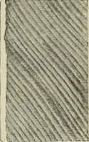 An illustration from Atlas and text-book of dentistry including diseases of the mouth / by Gustav Preiswerk. Edited by George W. Warren. (1906)